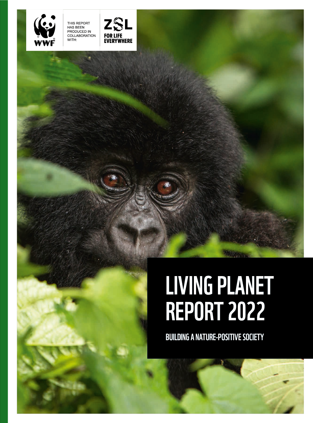 LPR_2022_Cover